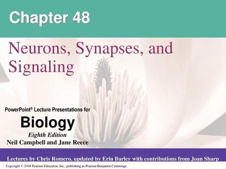 Neurons, Synapses, and Signaling