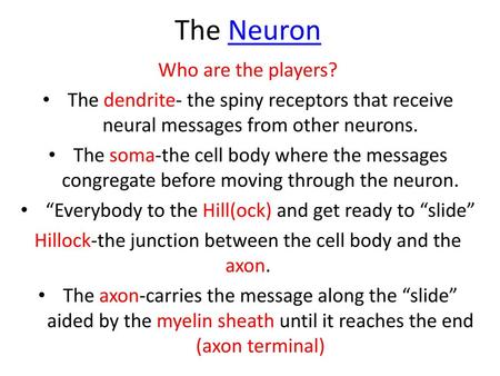 The Neuron Who are the players?