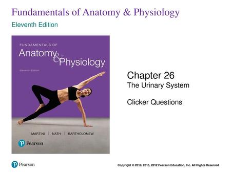 Fundamentals of Anatomy & Physiology