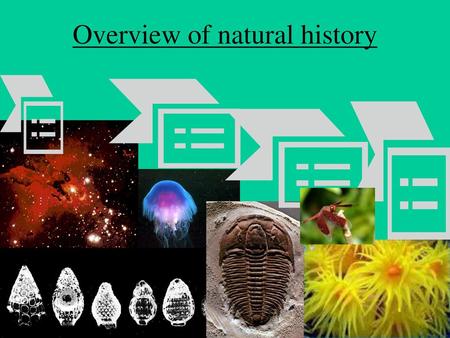 Overview of natural history