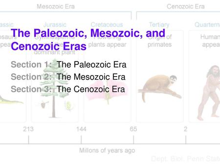 The Paleozoic, Mesozoic, and Cenozoic Eras