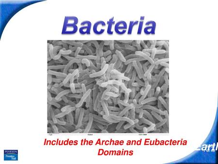 Includes the Archae and Eubacteria Domains