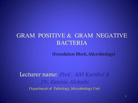 GRAM POSITIVE & GRAM NEGATIVE BACTERIA