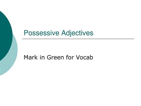 Possessive Adjectives