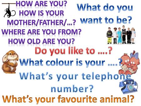 How is your mother/father/…? What’s your favourite animal?