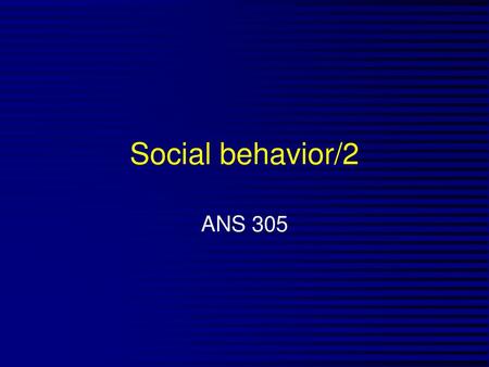 Social behavior/2 ANS 305.