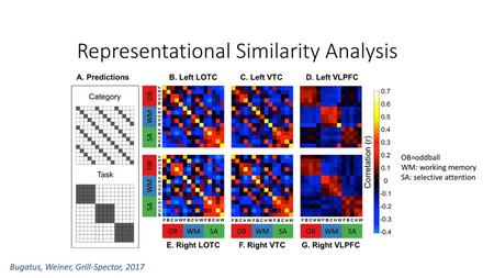 Representational Similarity Analysis