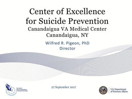 Center of Excellence for Suicide Prevention