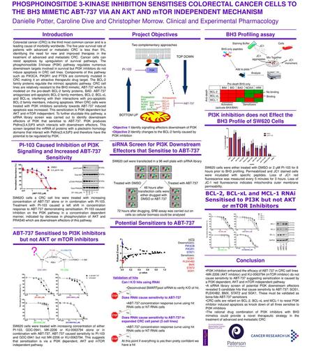 PI3K inhibition does not Effect the BH3 Profile of SW620 Cells