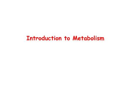 Introduction to Metabolism