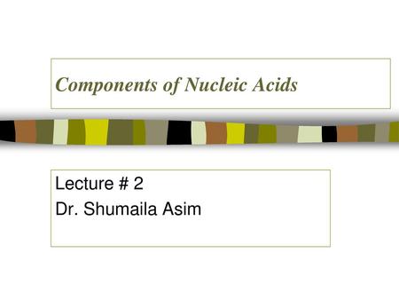 Components of Nucleic Acids