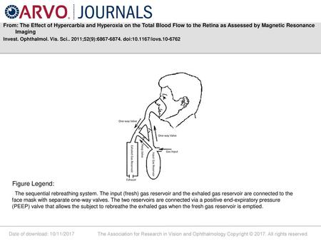 From: The Effect of Hypercarbia and Hyperoxia on the Total Blood Flow to the Retina as Assessed by Magnetic Resonance Imaging Invest. Ophthalmol. Vis.