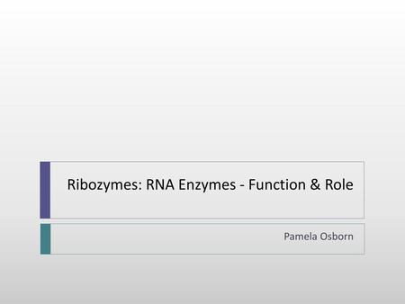 Ribozymes: RNA Enzymes - Function & Role