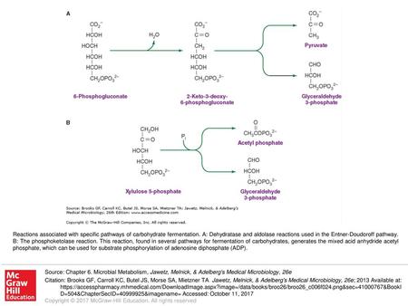 Reactions associated with specific pathways of carbohydrate fermentation. A: Dehydratase and aldolase reactions used in the Entner-Doudoroff pathway. B: