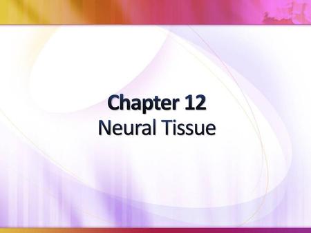 Chapter 12 Neural Tissue 5/9/2018 6:13 PM