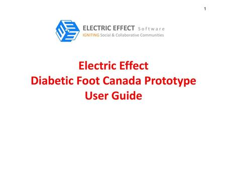 Electric Effect Diabetic Foot Canada Prototype User Guide