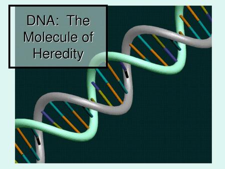 DNA: The Molecule of Heredity