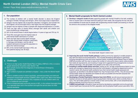 The mental health ‘stepped’ model of care