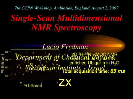 Single-Scan Multidimensional NMR Spectroscopy