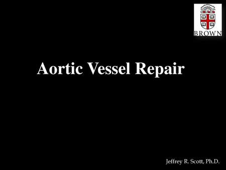 Aortic Vessel Repair Jeffrey R. Scott, Ph.D..