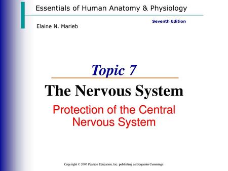 Topic 7 The Nervous System