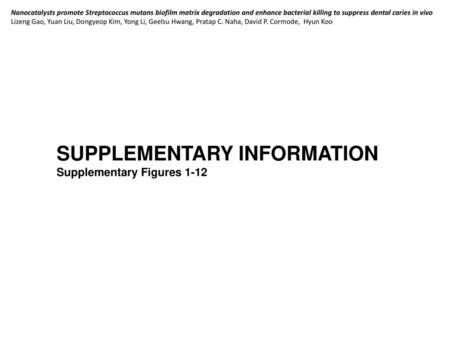 SUPPLEMENTARY INFORMATION