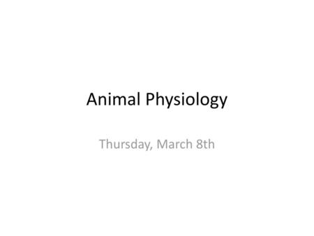 Animal Physiology Thursday, March 8th.