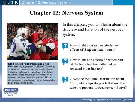 Chapter 12: Nervous System