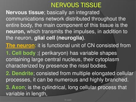 Nervous tissue Nervous tissue; basically an integrated communications network distributed throughout the entire body, the main component of this tissue.