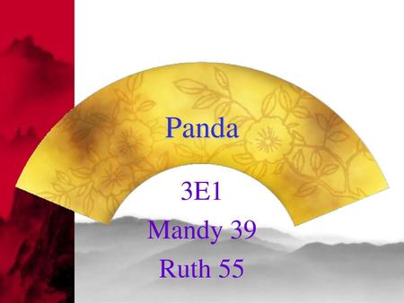 Panda 3E1 Mandy 39 Ruth 55.