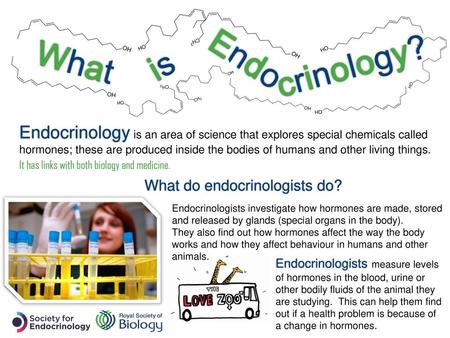 Endo What is crinology? Endocrinology is an area of science that explores special chemicals called hormones; these are produced inside the bodies of humans.