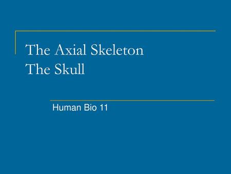 The Axial Skeleton The Skull