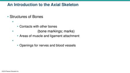 An Introduction to the Axial Skeleton