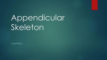 Appendicular Skeleton