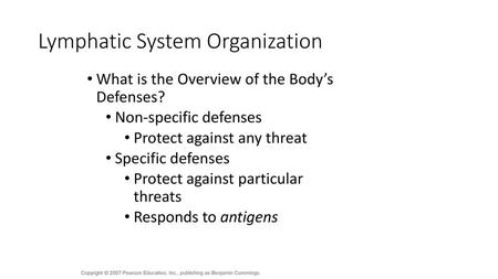 Lymphatic System Organization