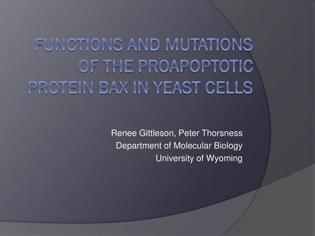 Functions and Mutations of the Proapoptotic Protein bax in Yeast Cells