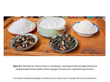 Figure 8.1. Daily diet for a family of five in rural Malawi, consisting of maize porridge (nsima) and cooked pumpkin leaves (ndiwo). Photo copyright ©