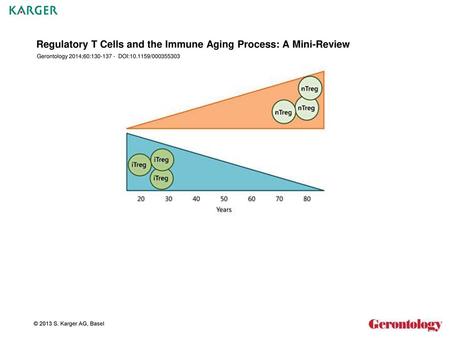 Regulatory T Cells and the Immune Aging Process: A Mini-Review