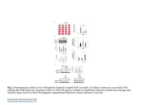 Fig. 2. Neuroprotective effects of ex-4 through the G protein-coupled GLP-1 receptor. (A) Infarct volume was assessed by TTC staining after tMCAO in rats.