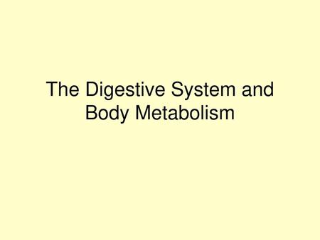 The Digestive System and Body Metabolism