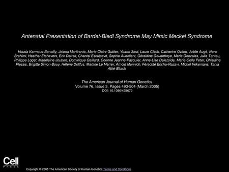 Antenatal Presentation of Bardet-Biedl Syndrome May Mimic Meckel Syndrome  Houda Karmous-Benailly, Jelena Martinovic, Marie-Claire Gubler, Yoann Sirot,