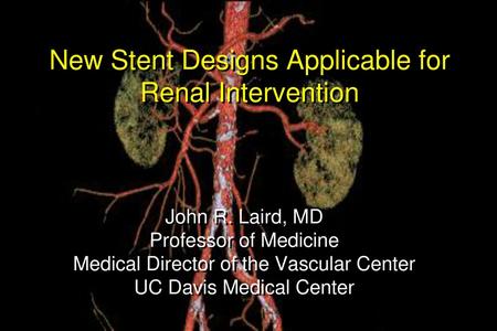 New Stent Designs Applicable for Renal Intervention