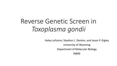 Reverse Genetic Screen in Toxoplasma gondii