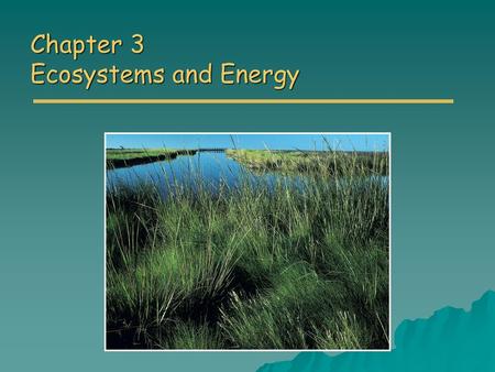 Chapter 3 Ecosystems and Energy