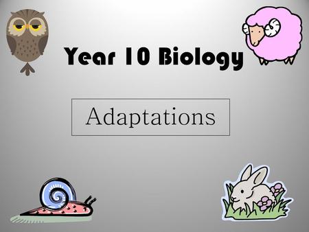 Year 10 Biology Adaptations.