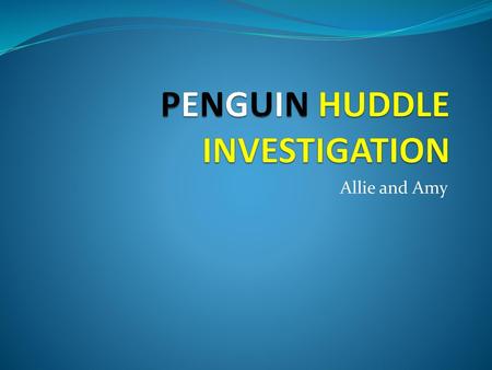 PENGUIN HUDDLE INVESTIGATION