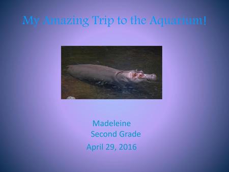 My Amazing Trip to the Aquarium!