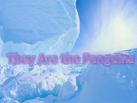 They Are the Penguins.