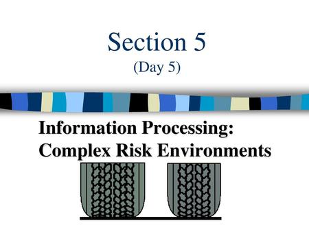 Information Processing: Complex Risk Environments