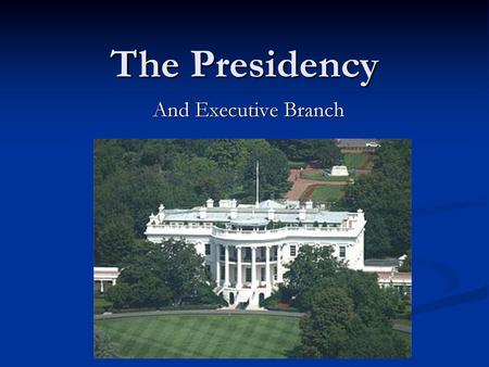 The Presidency And Executive Branch.